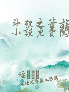 斗破之萧族冰圣小说免费阅读