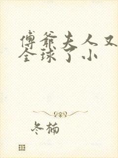 傅爷夫人又惊艳全球了小