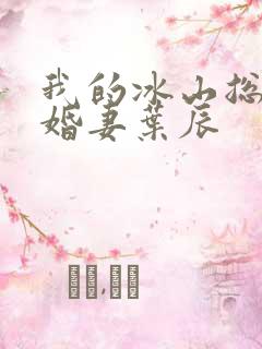 我的冰山总裁未婚妻叶辰