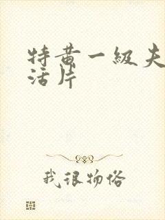 特黄一级夫妻生活片