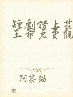 短剧错上花轿嫁王爷免费观看