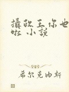 摄政王你也重生啦 小说