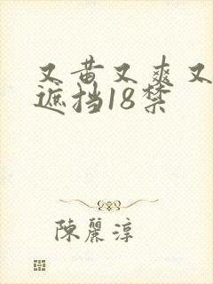 又黄又爽又色无遮挡18禁