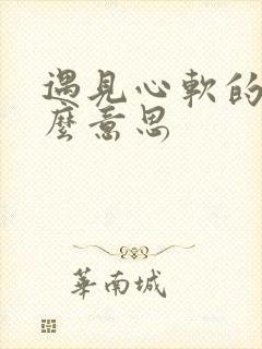 遇见心软的神什么意思