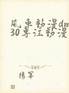 风车动漫dm530专注动漫的门户网站