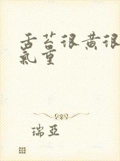 舌苔很黄很厚湿气重