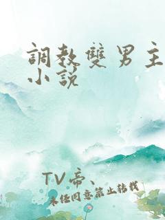 调教双男主奴隶小说