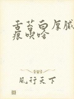 舌苔白厚腻有齿痕吃啥