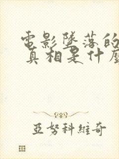 电影坠落的审判 真相是什么