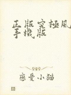 正版究极风暴4手机版