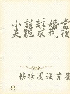 小说离婚当天前夫跪求我复合免费