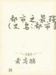 都市之最强狂兵(又名:都市狂枭)+小说