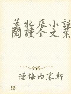 叶北辰小说免费阅读全文叶北辰