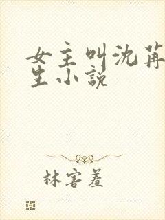 女主叫沈苒的重生小说