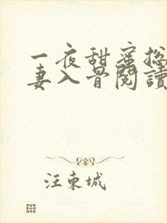 一夜甜蜜总裁宠妻入骨阅读全文