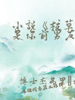 小说《校草居然是你前男友》
