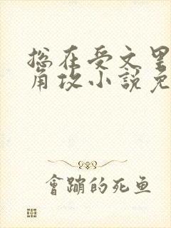 总在受文里抢主角攻小说免费阅读