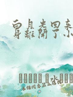 白月光回来后替身离开了小说免费