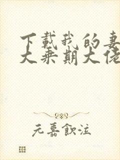 下载我的妻子是大乘期大佬