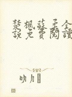 楚枫苏柔全本小说免费阅读