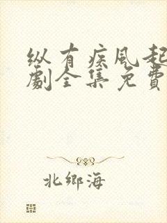 纵有疾风起电视剧全集免费播放