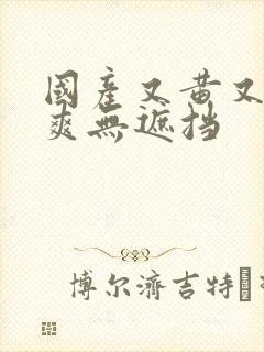 国产又黄又粗又爽无遮挡