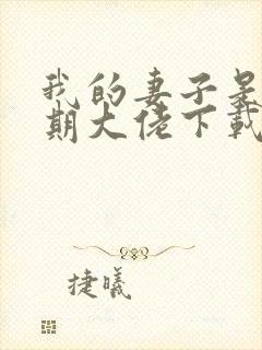 我的妻子是大乘期大佬下载txt