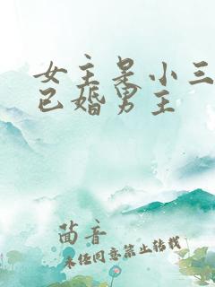 女主是小三勾搭已婚男主
