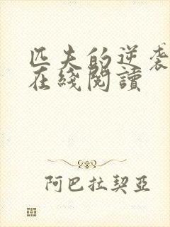 匹夫的逆袭小说在线阅读