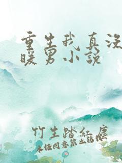 重生我真没想当暖男小说