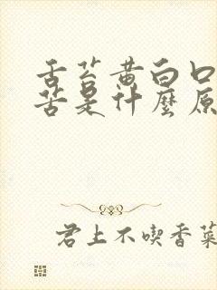 舌苔黄白口干口苦是什么原因