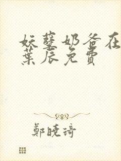 妖孽奶爸在都市叶辰免费