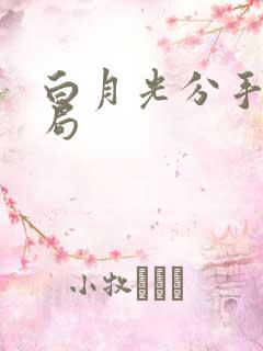 白月光分手大结局