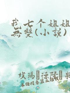 我七个姐姐绝世无双(小说)