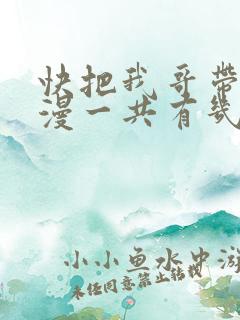 快把我哥带走动漫一共有几季