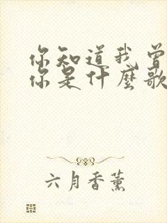 你知道我曾爱着你是什么歌名