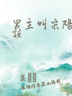 男主叫宋阳的小说