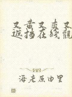 又黄又爽又色无遮挡在线观看