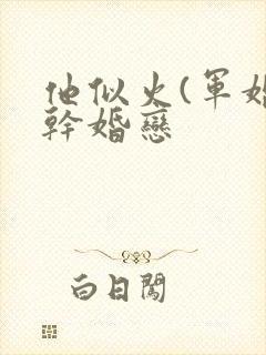 他似火(军婚高干婚恋