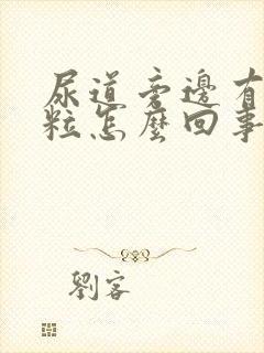 尿道旁边有小颗粒怎么回事