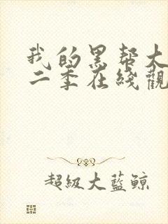 我的黑帮大佬第二季在线观看免费播放器美剧