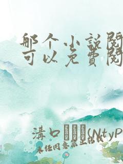 那个小说阅读器可以免费阅读