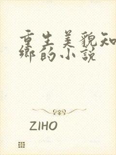 重生美貌知青下乡的小说