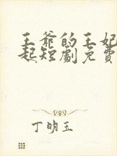 王爷的王妃惹不起短剧免费观看