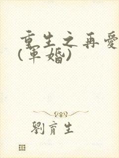 重生之再爱一次(军婚)