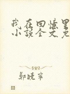 我在回忆里等你小说全文免费阅读