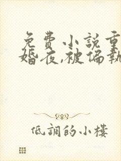 免费小说重生新婚夜,被偏执大佬亲疯了