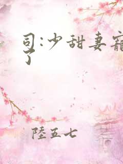 司:少甜妻宠定了