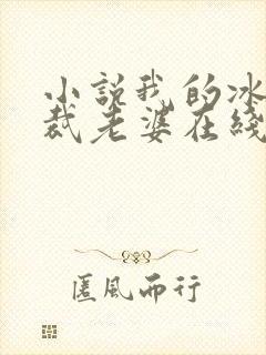 小说我的冰山总裁老婆在线阅读