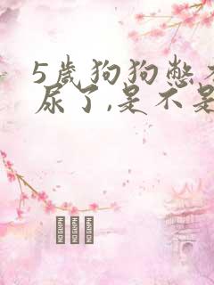 5岁狗狗憋不住尿了,是不是很老了